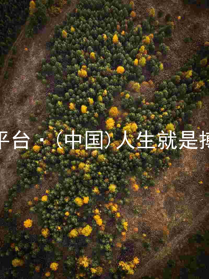 尊龙平台·(中国)人生就是搏官网