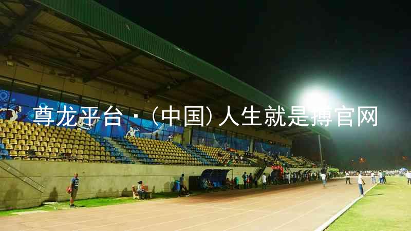 尊龙平台·(中国)人生就是搏官网