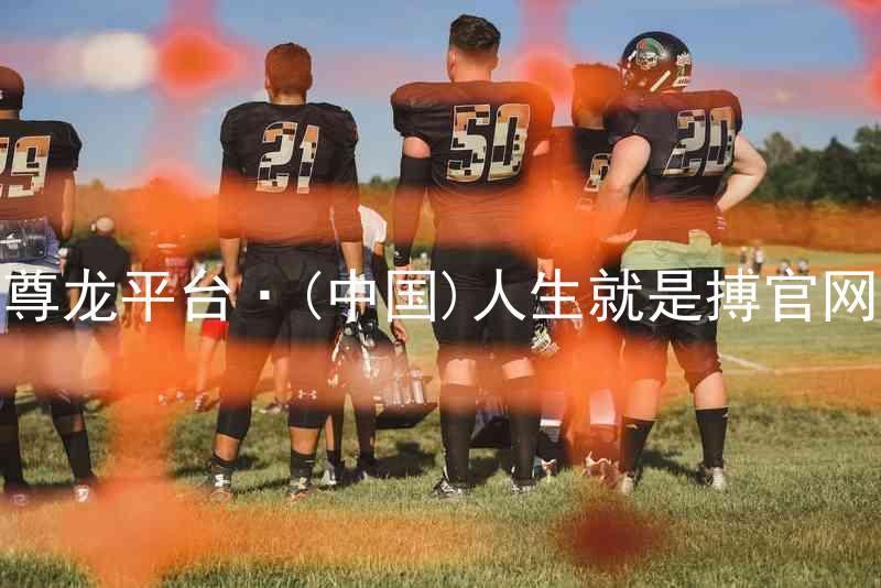 尊龙平台·(中国)人生就是搏官网