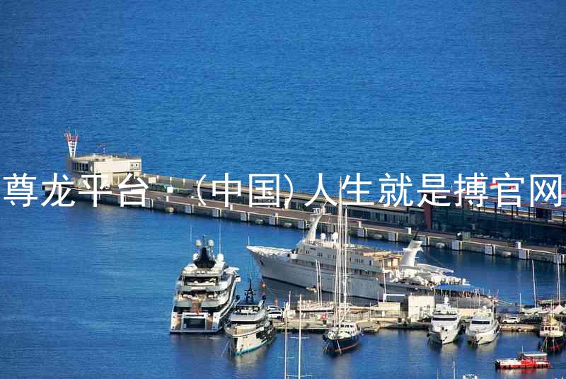 尊龙平台·(中国)人生就是搏官网