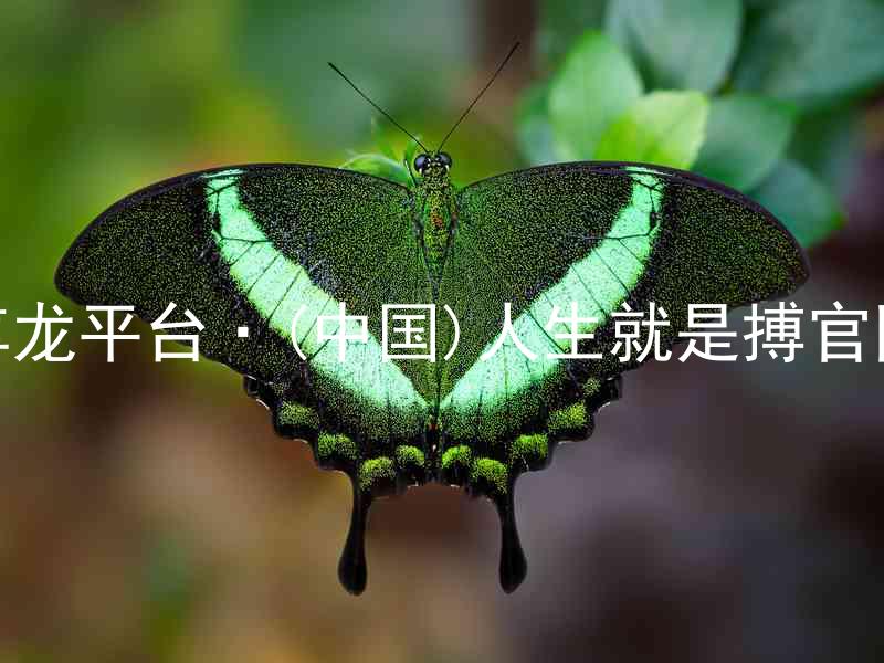 尊龙平台·(中国)人生就是搏官网