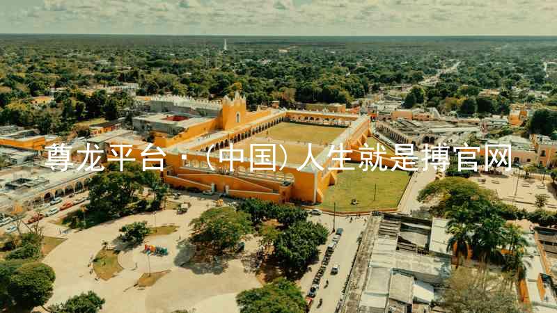 尊龙平台·(中国)人生就是搏官网