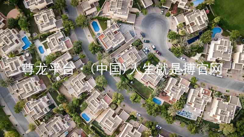尊龙平台·(中国)人生就是搏官网