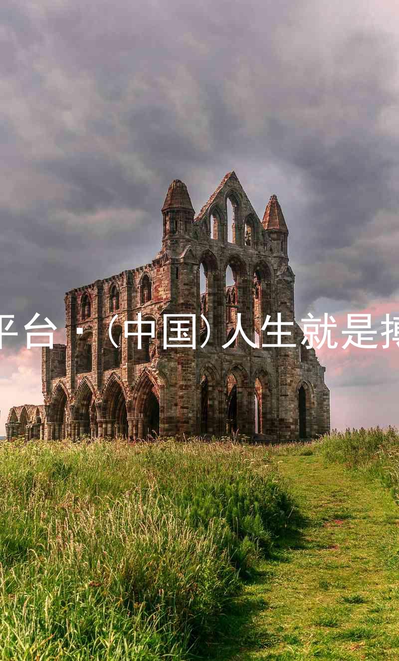 尊龙平台·(中国)人生就是搏官网