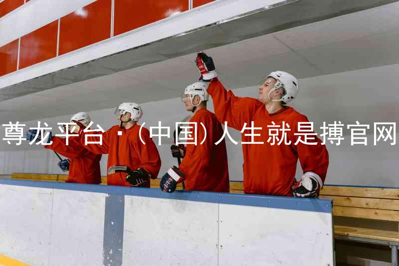 尊龙平台·(中国)人生就是搏官网
